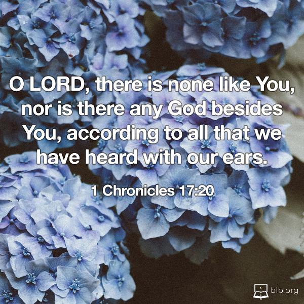 1 Chronicles Images - 1 Chronicles 17:20 (NKJV)