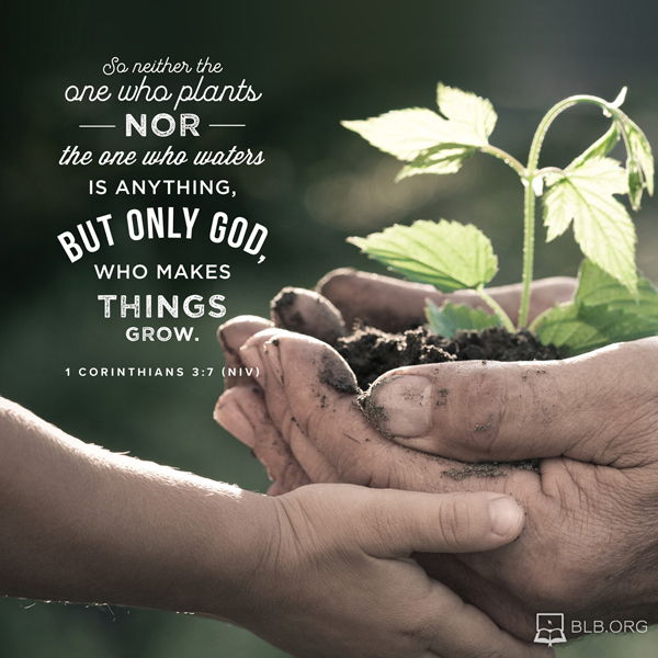 1 Corinthians Images - 1 Corinthians 3:7 NIV
