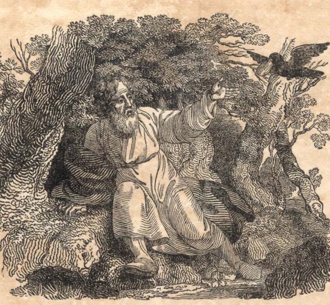 1 Kings Images - Elijah Fed by the Ravens