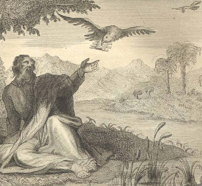 1 Kings Images - Elijah Is Fed by Ravens