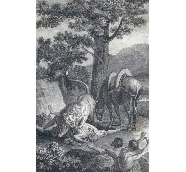 1 Kings Images - The Prophet Killed by a Lion