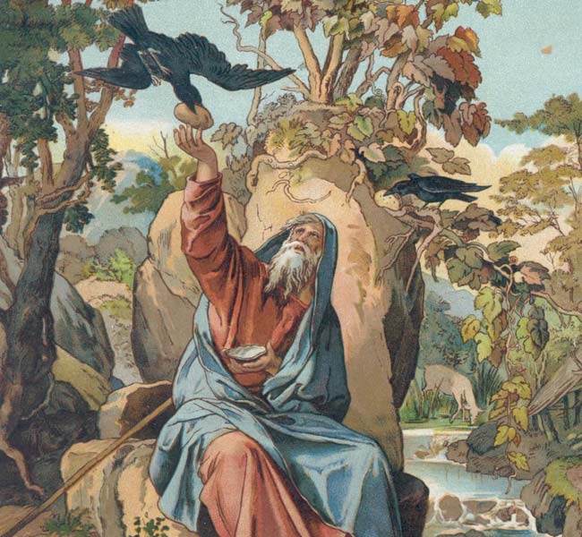 1 Kings Images - The Ravens Brought Elijah Bread and Flesh Every Morning and Evening