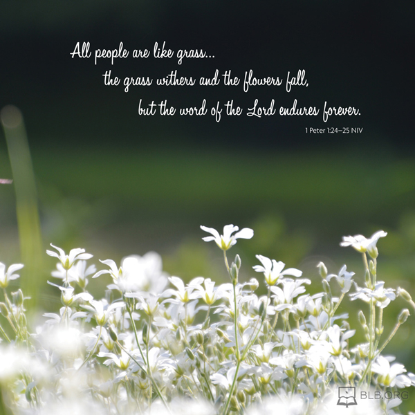1 Peter Images - 1 Peter 1:24-25 NIV