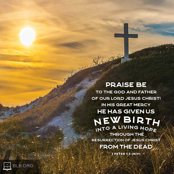 1 Peter Images - 1 Peter 1:3 NIV