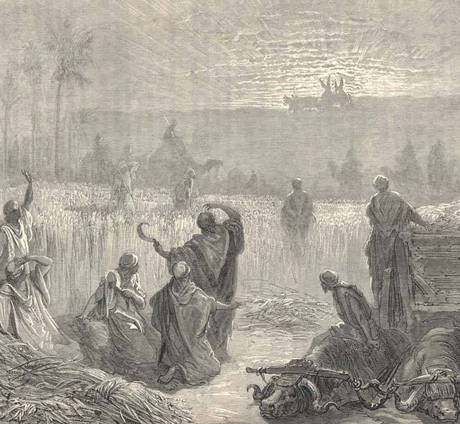 1 Samuel Images - Return of the Ark to Beth-Shemesh
