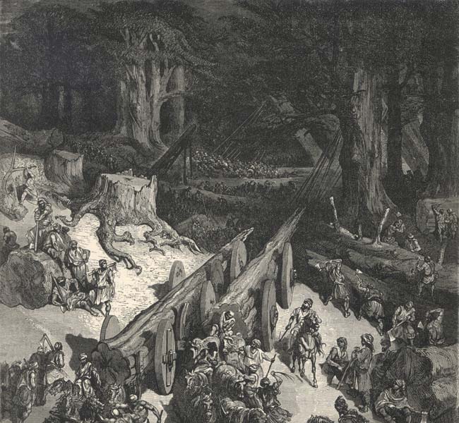 2 Chronicles Images - Cutting down Cedars for the Construction of the Temple