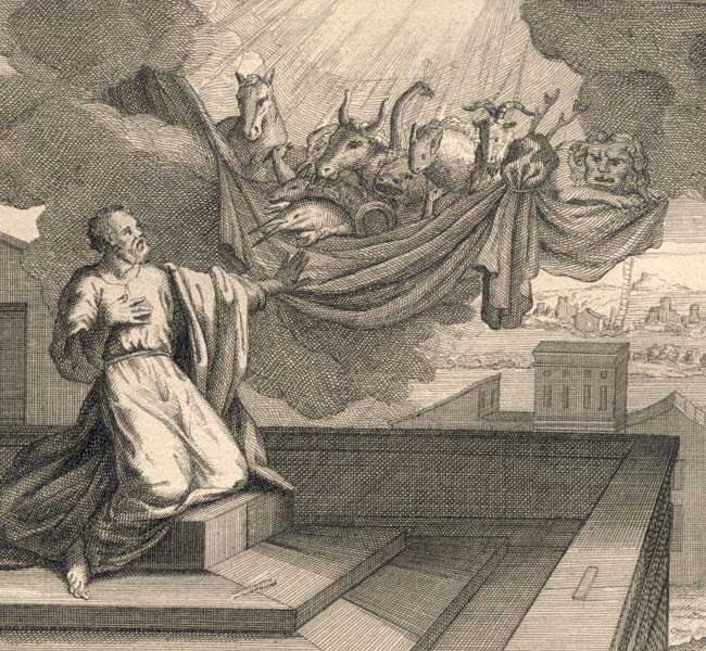 Acts Images - Peter's Call to the Gentiles