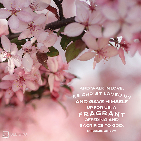Ephesians Images - Ephesians 5:2 ESV