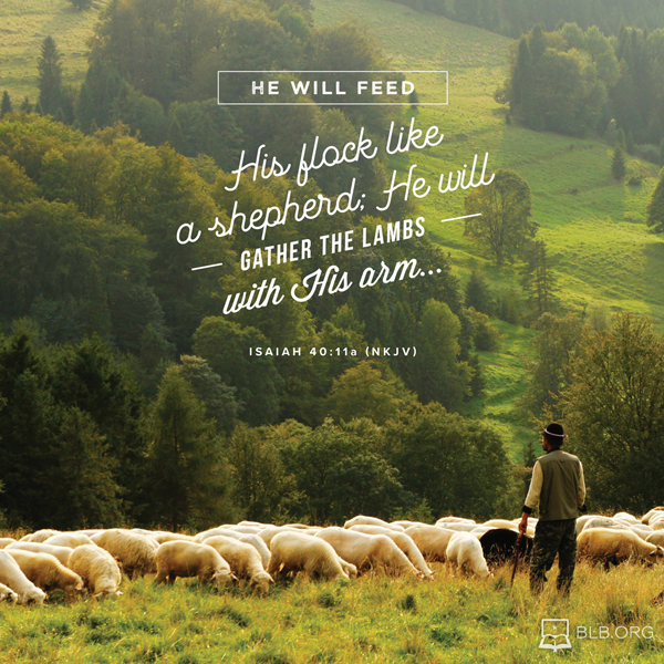Isaiah Images - Isaiah 40:11a NKJV