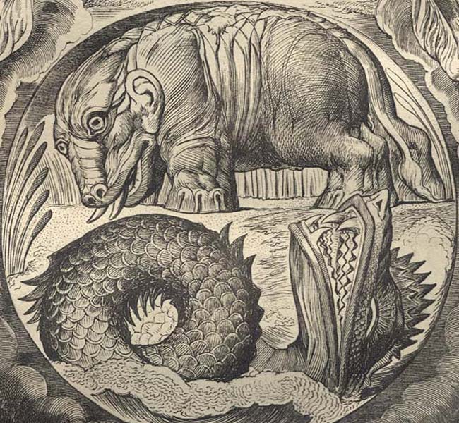 Job Images - Behemoth before Job
