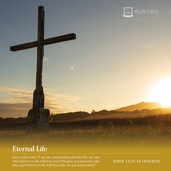 John Images - John 11:25-26 (NASB20)