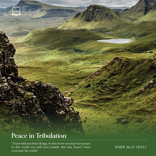 John Images - John 16:33 (NIV)