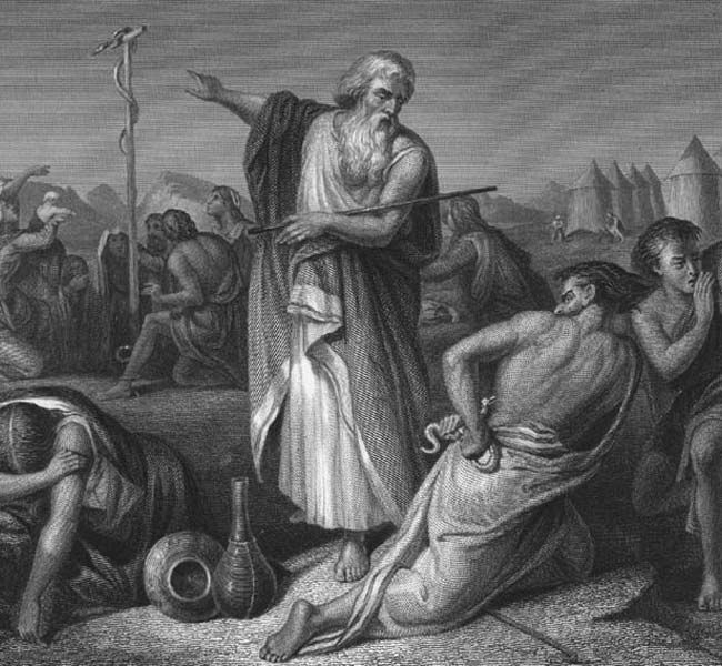 John Images - Moses and the Brazen Serpent (engraving)