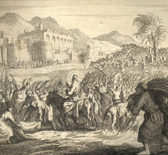 John Images - The Triumphal Entry