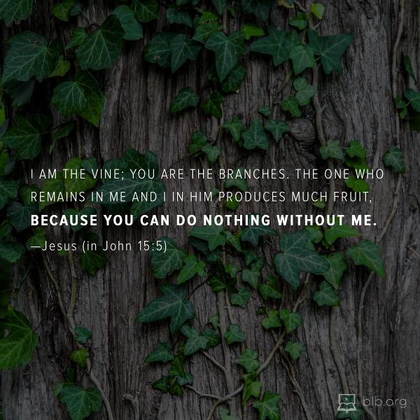 John Images - John 15:5 (CSB)