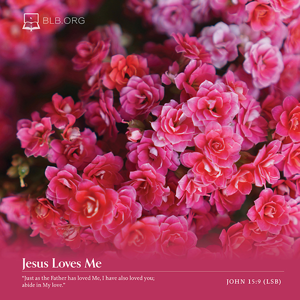 John Images - John 15:9 (LSB)
