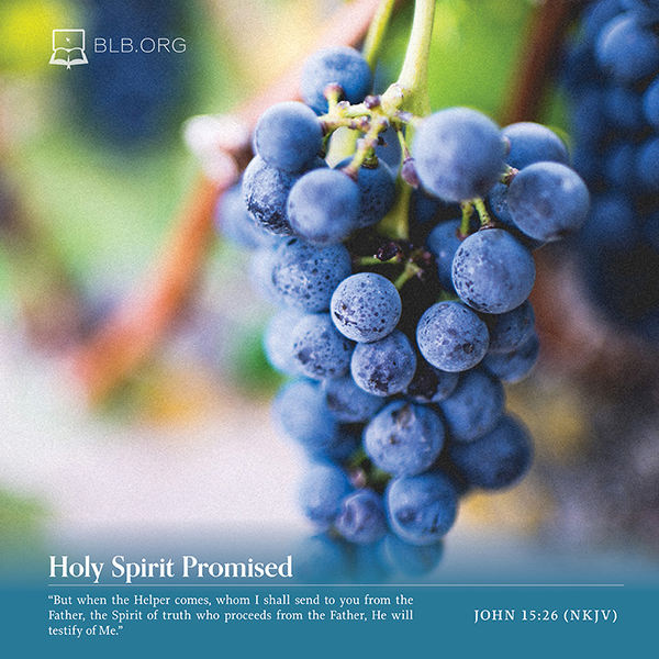 John Images - John 15:26 (NKJV)