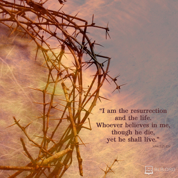 John Images - John 11:25 (ESV)