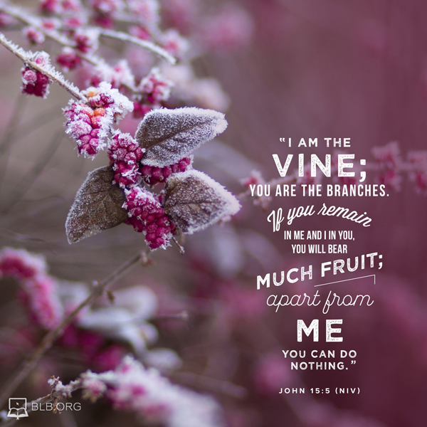 John Images - John 15:5 (NIV)