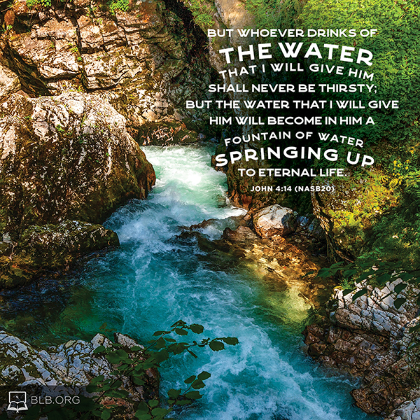 John Images - John 4:14 (NASB20)