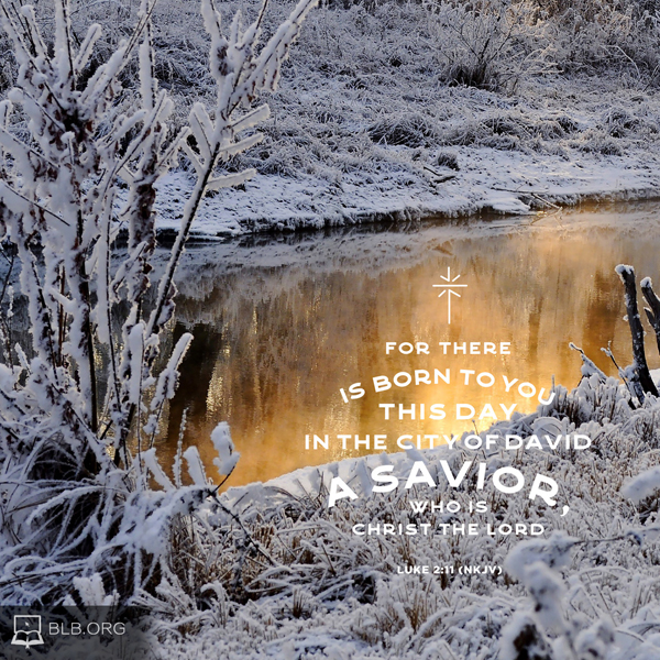 Luke Images - Luke 2:11 (NKJV)