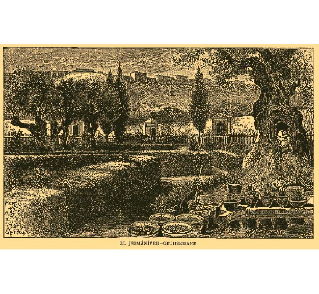 Matthew Images - Garden of Gethsemane engraving