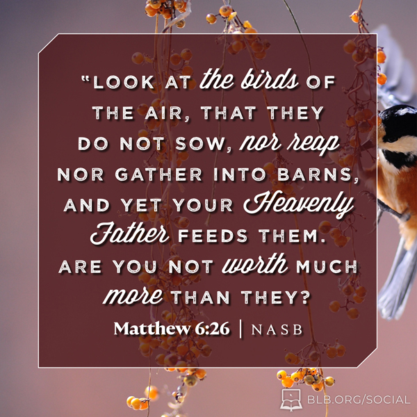 Matthew Images - Matthew 6:26 NASB95