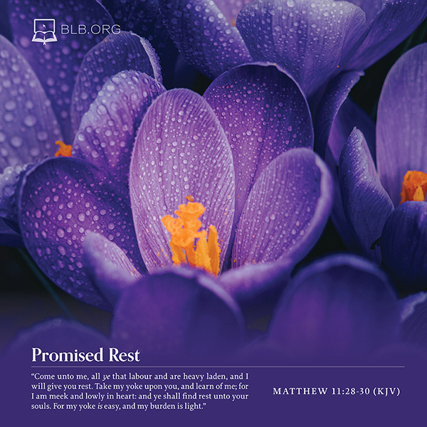 Matthew Images - Matthew 11:28-30 KJV