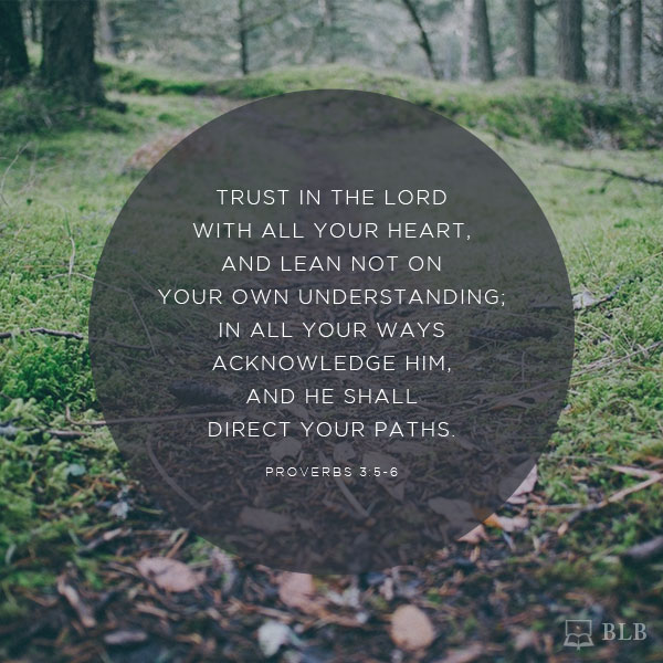 Proverbs Images - Proverbs 3:5-6 NKJV #1
