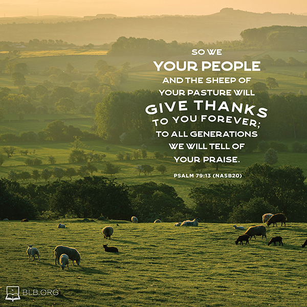 Psalms Images - Psalm 79:13 (NASB20)