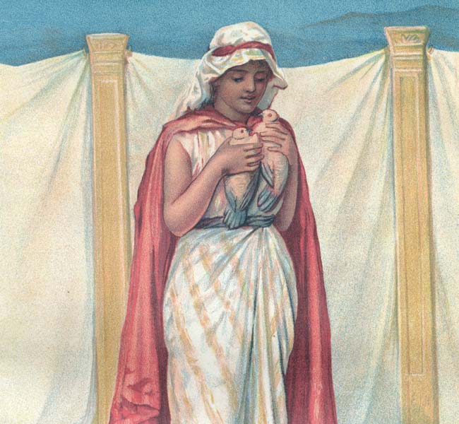 Leviticus Images - Offering of Purification