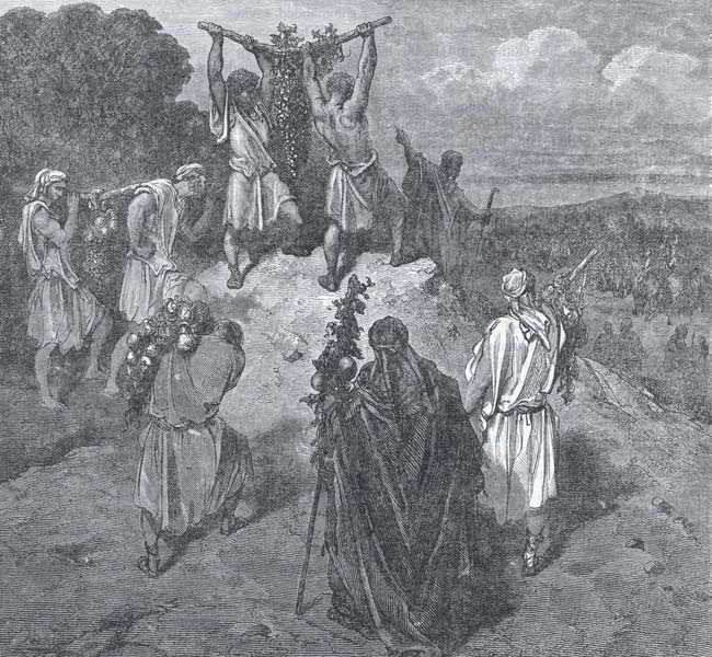 Numbers Images - The Return of the Spies from the Land of Promise