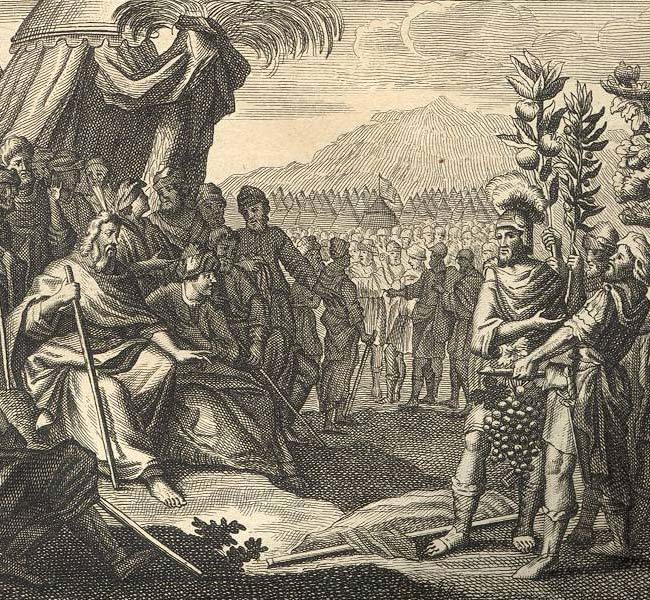 Numbers Images - Fruits from the Land of Canaan