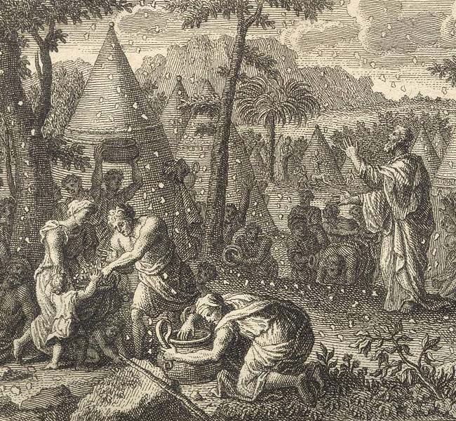 Exodus Images - Manna