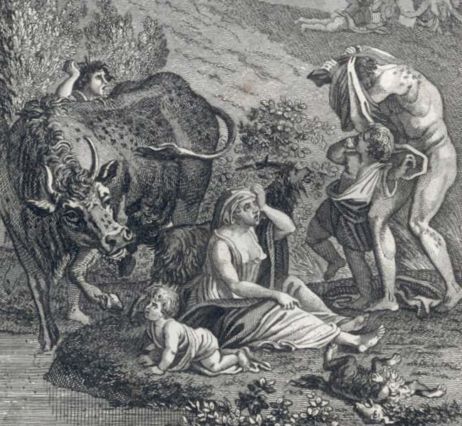 Exodus Images - Lice