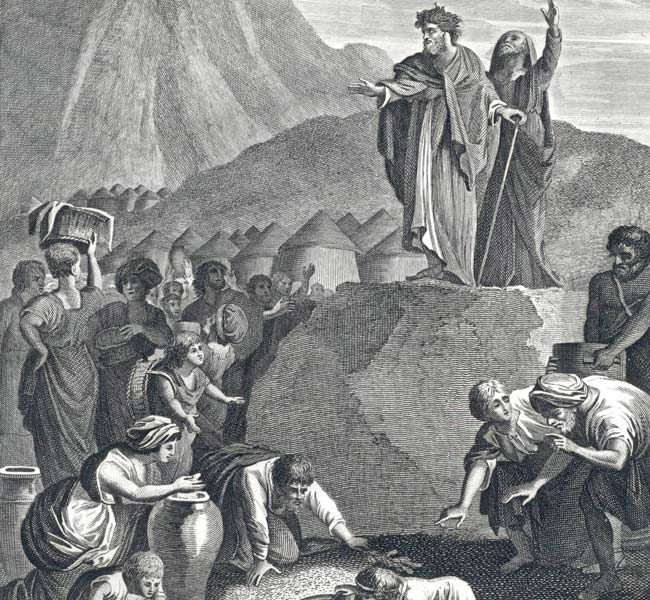 Exodus Images - Israelites Gathering Manna