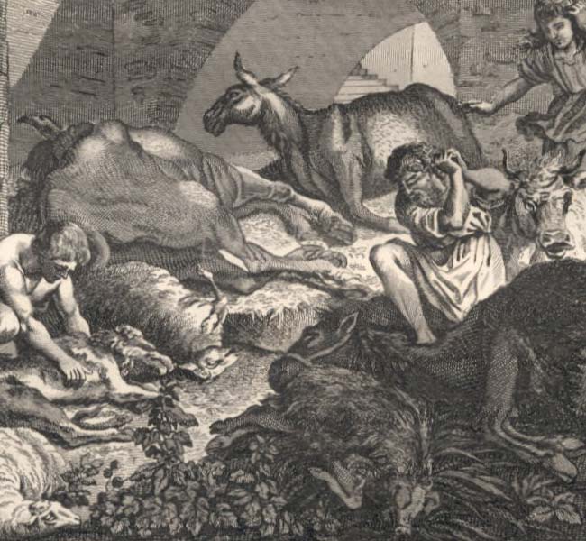 Exodus Images - The Plague on the Life Stock