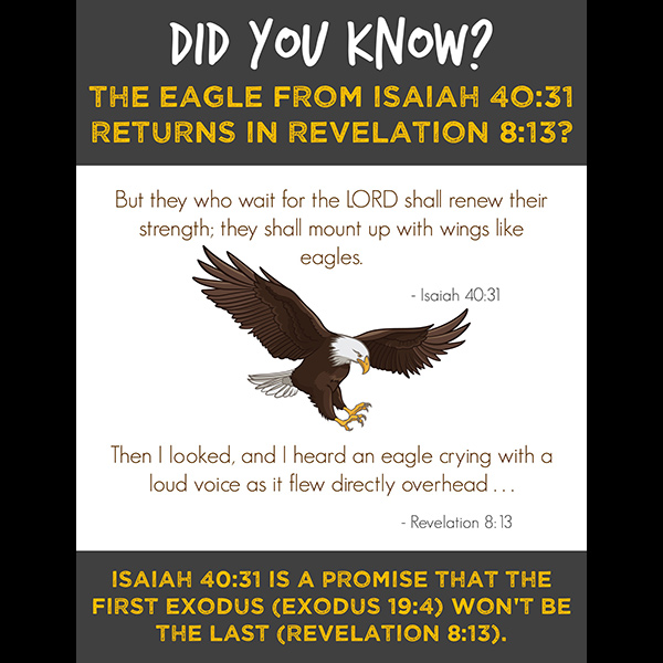 Exodus Images - The Eagle from Isaiah Returns in Revelation