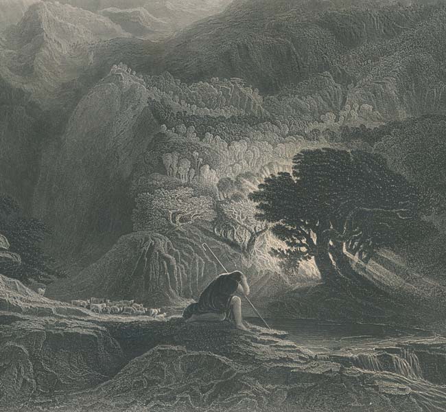 Exodus Images - The Burning Bush