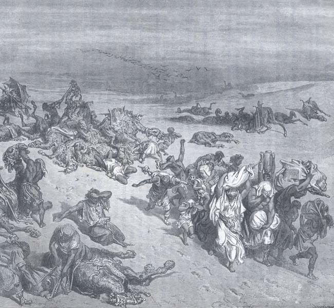 Exodus Images - The Murrain of Beasts
