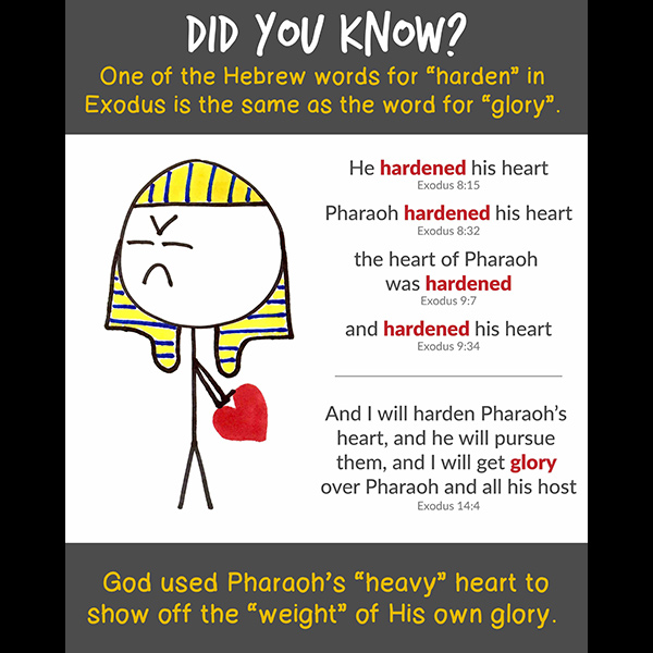 Exodus Images - Hebrew Word for Harden = Glory