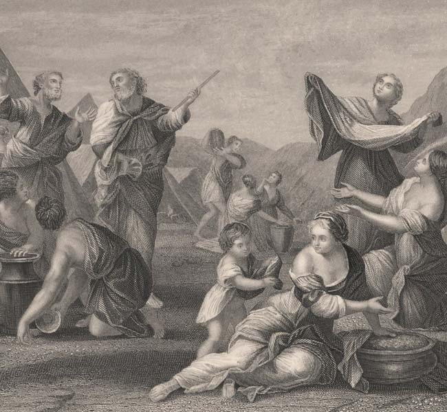 Exodus Images - The Fall of Manna