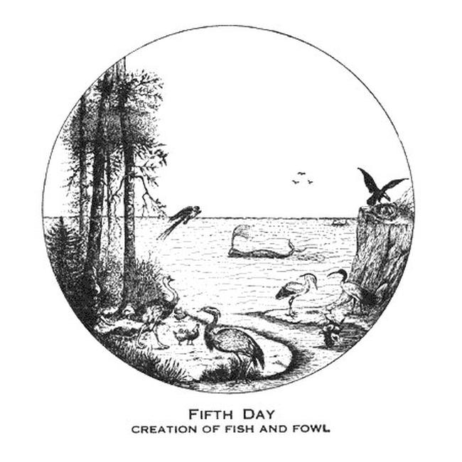 Genesis Images - Fifth Day