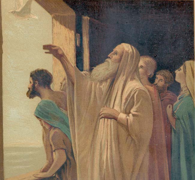 Genesis Images - Noah Sending Forth the Dove