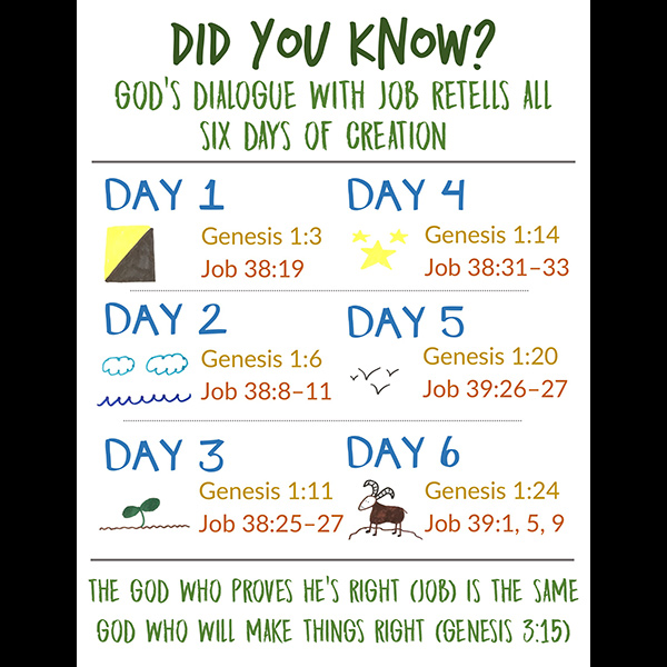 Genesis Images - God's Dialogue with Job Retells All Six Days of Creation