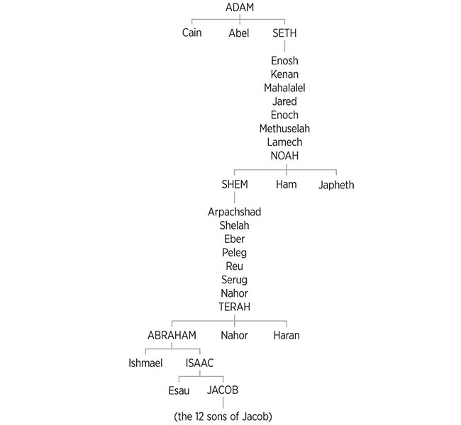 Genesis Images - The Genealogies of Genesis