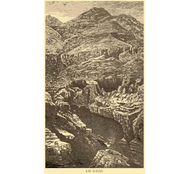 Genesis Images - En Gedi (engraving)