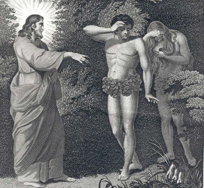 Genesis Images - The Curse Pronounced