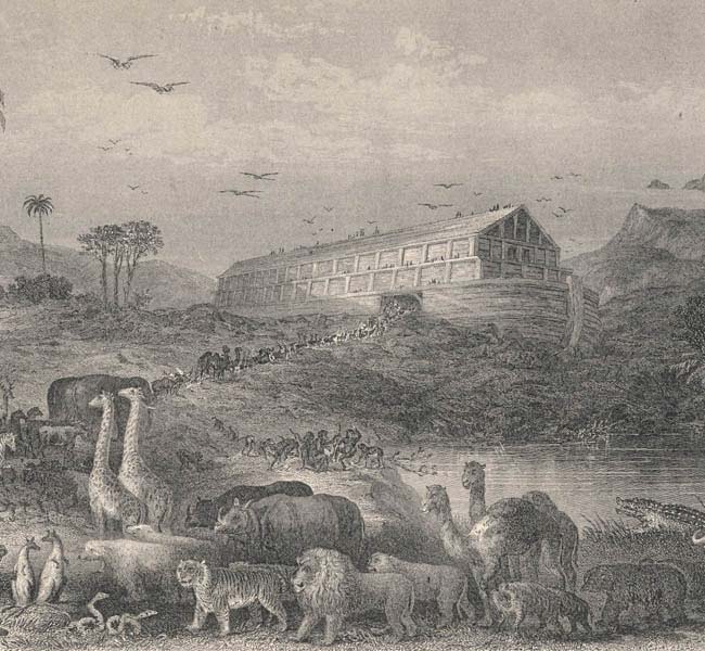 Genesis Images - The Entry into the Ark