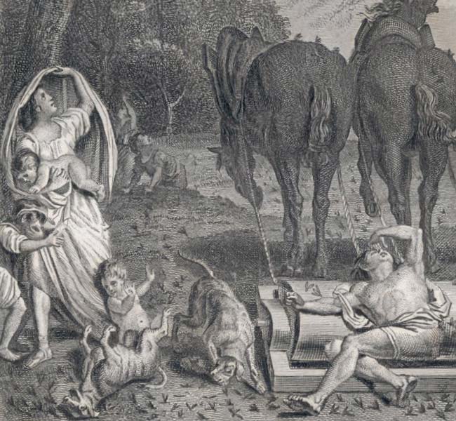 Exodus Images - Locusts